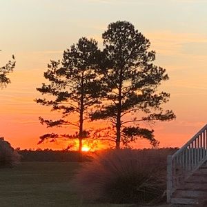 Meet your Posher, Jimmy